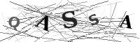Please refresh your browser to see this image.